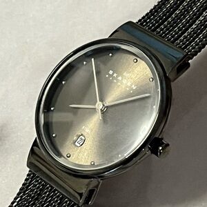 Skagen Black Watch with Mesh Band and Minimalist Design